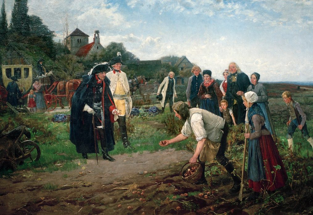 13 dejstev o krompirju
