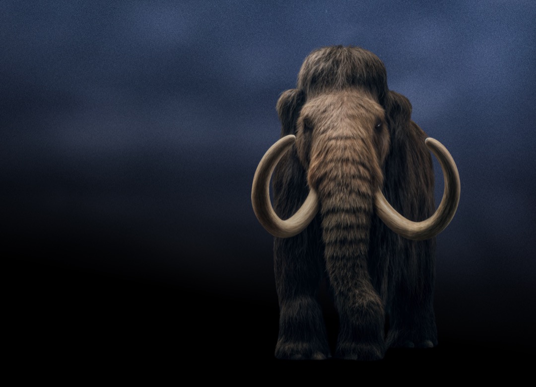 Izumrle živali se vračajo