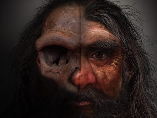 Skrivnostni hominid dobi obraz